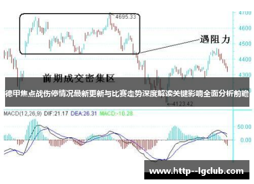 德甲焦点战伤停情况最新更新与比赛走势深度解读关键影响全面分析前瞻
