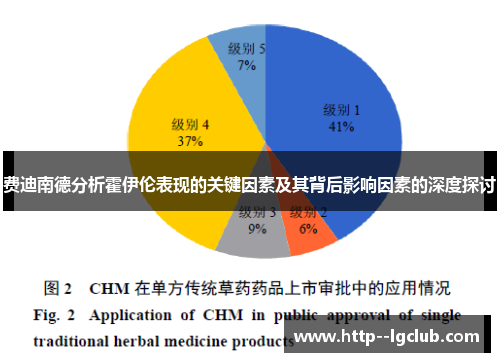 费迪南德分析霍伊伦表现的关键因素及其背后影响因素的深度探讨 费迪南德分析霍伊伦表现的关键因素及其背后影响因素的深度探讨