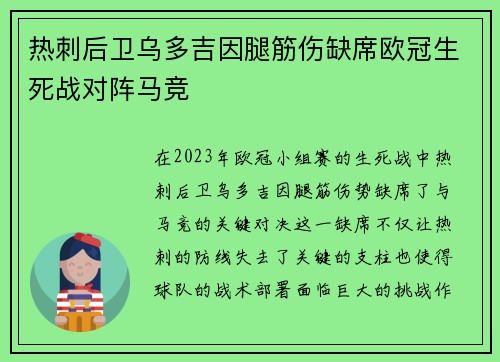 热刺后卫乌多吉因腿筋伤缺席欧冠生死战对阵马竞