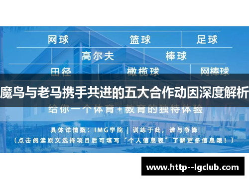 魔鸟与老马携手共进的五大合作动因深度解析 魔鸟与老马携手共进的五大合作动因深度解析