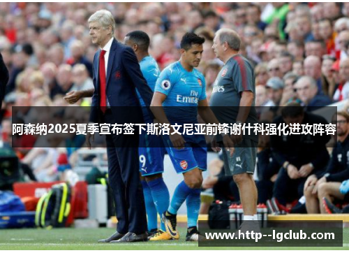 阿森纳2025夏季宣布签下斯洛文尼亚前锋谢什科强化进攻阵容